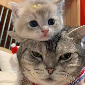 汤唯被分腿进入
